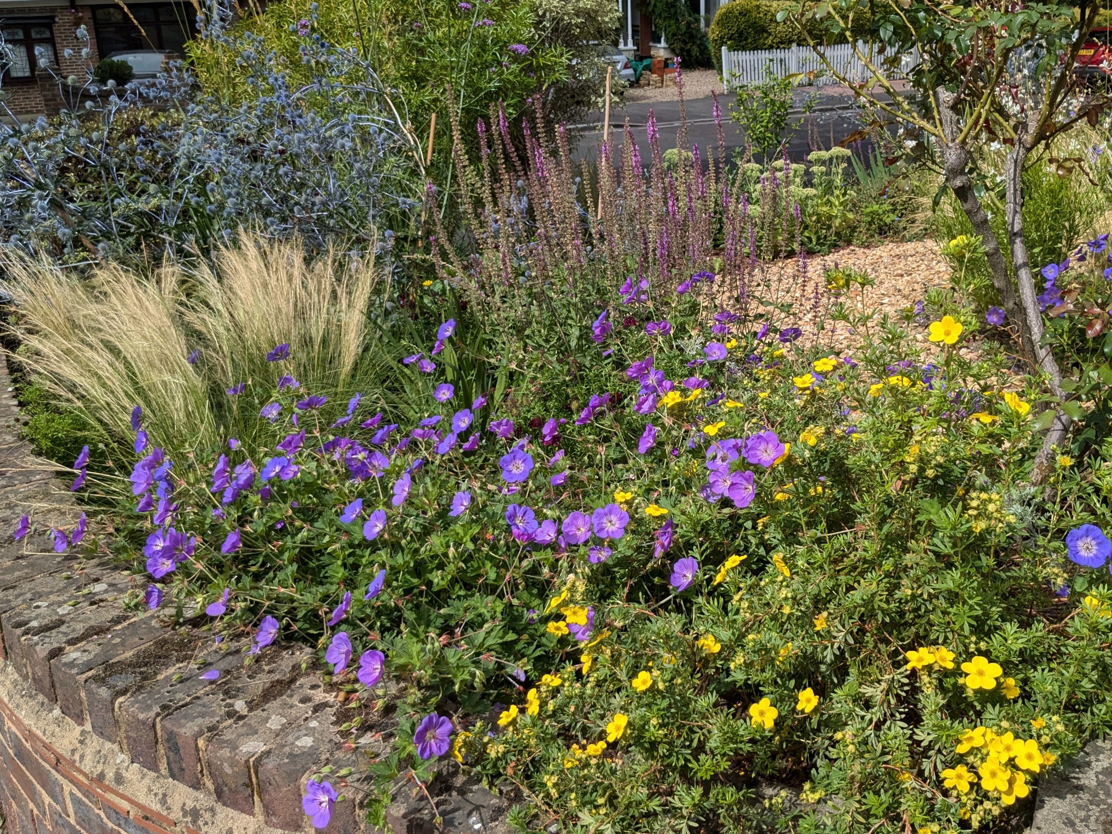 Soft summer plantig against brick walls