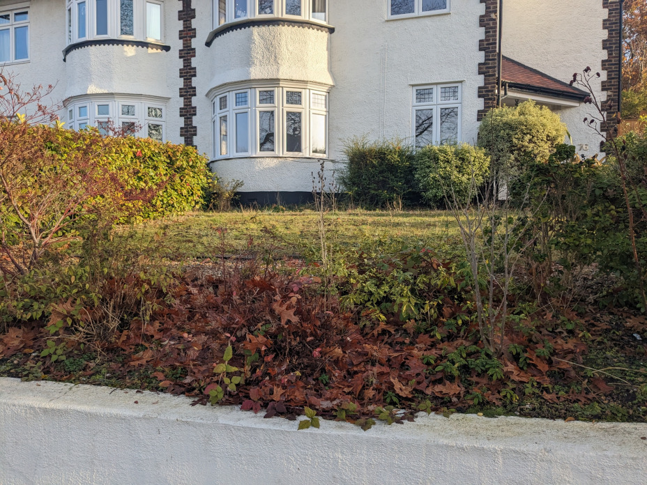 Before with plain lawn